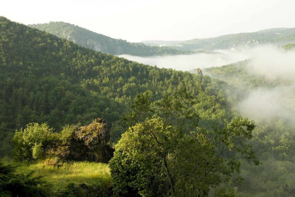 Le Colombier Saint-Veran La Roque-Sainte-Marguerite Екстериор снимка