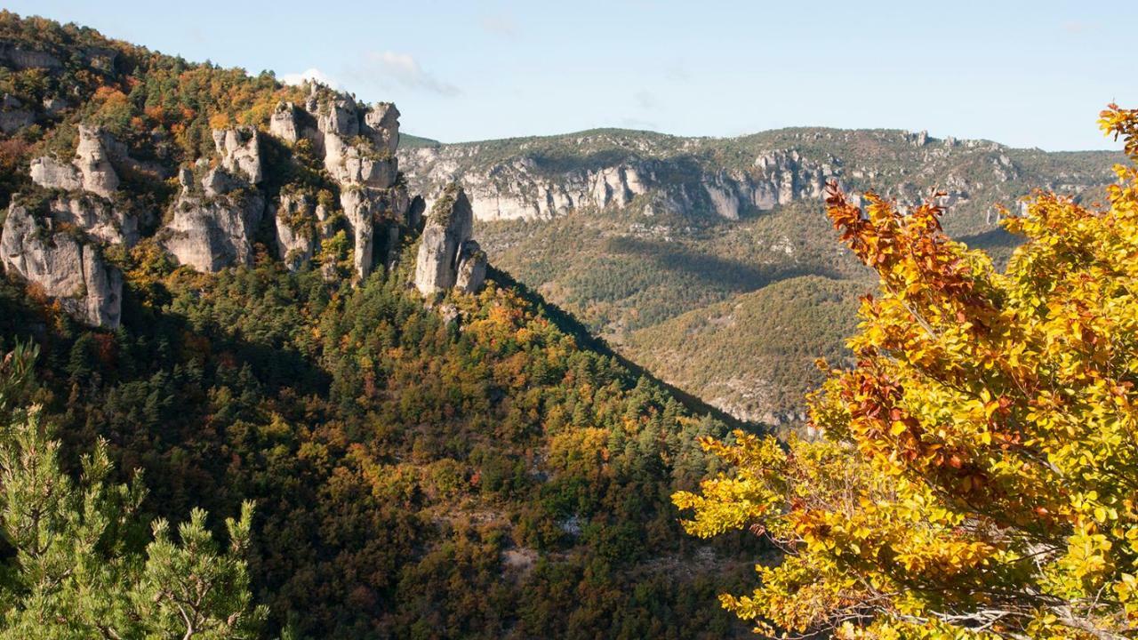 Le Colombier Saint-Veran La Roque-Sainte-Marguerite Екстериор снимка